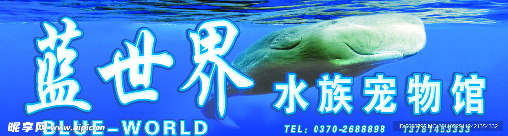 水族宠物馆