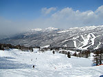 雪原