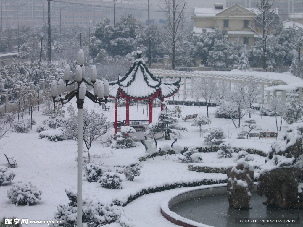 雪景