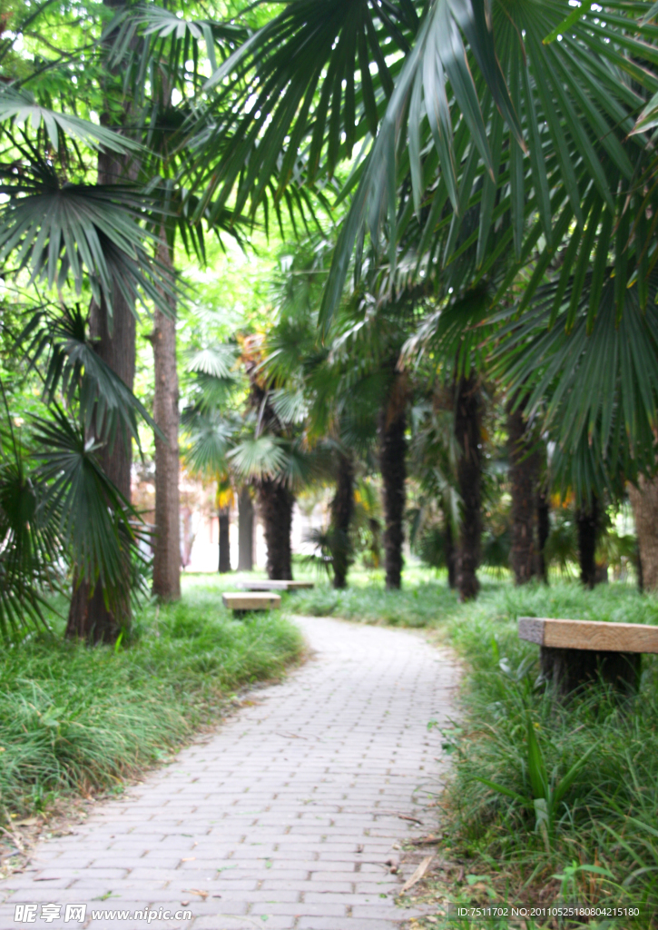 扬州大学 校园风景