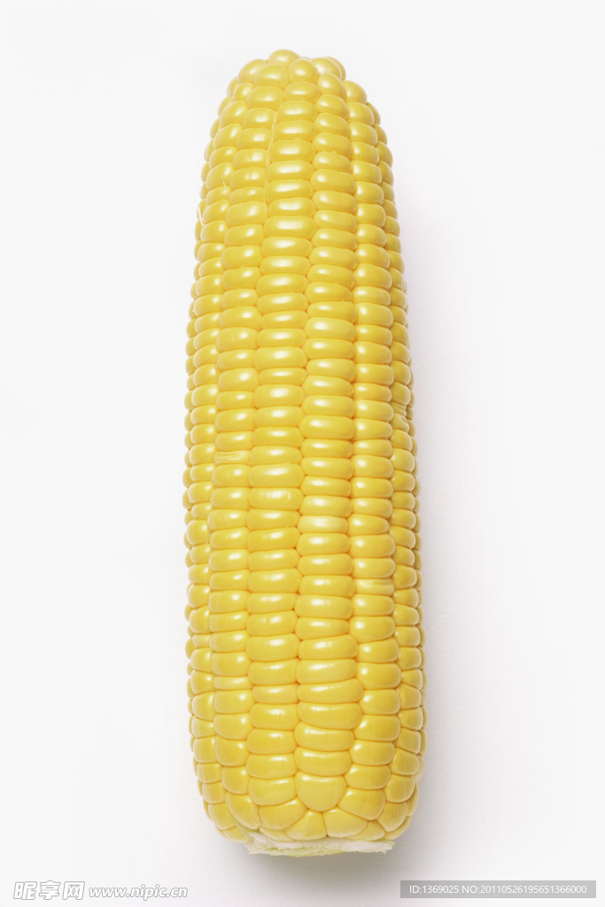 玉米
