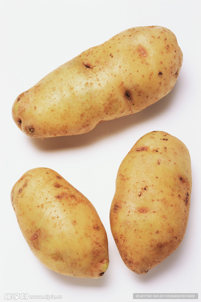 土豆摄影