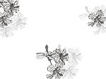 清秋节 矢量花纹移门