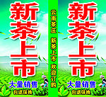 新茶上市