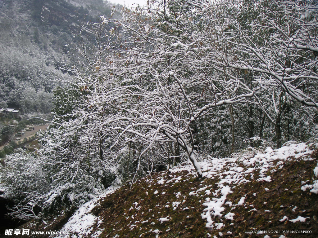 雪景