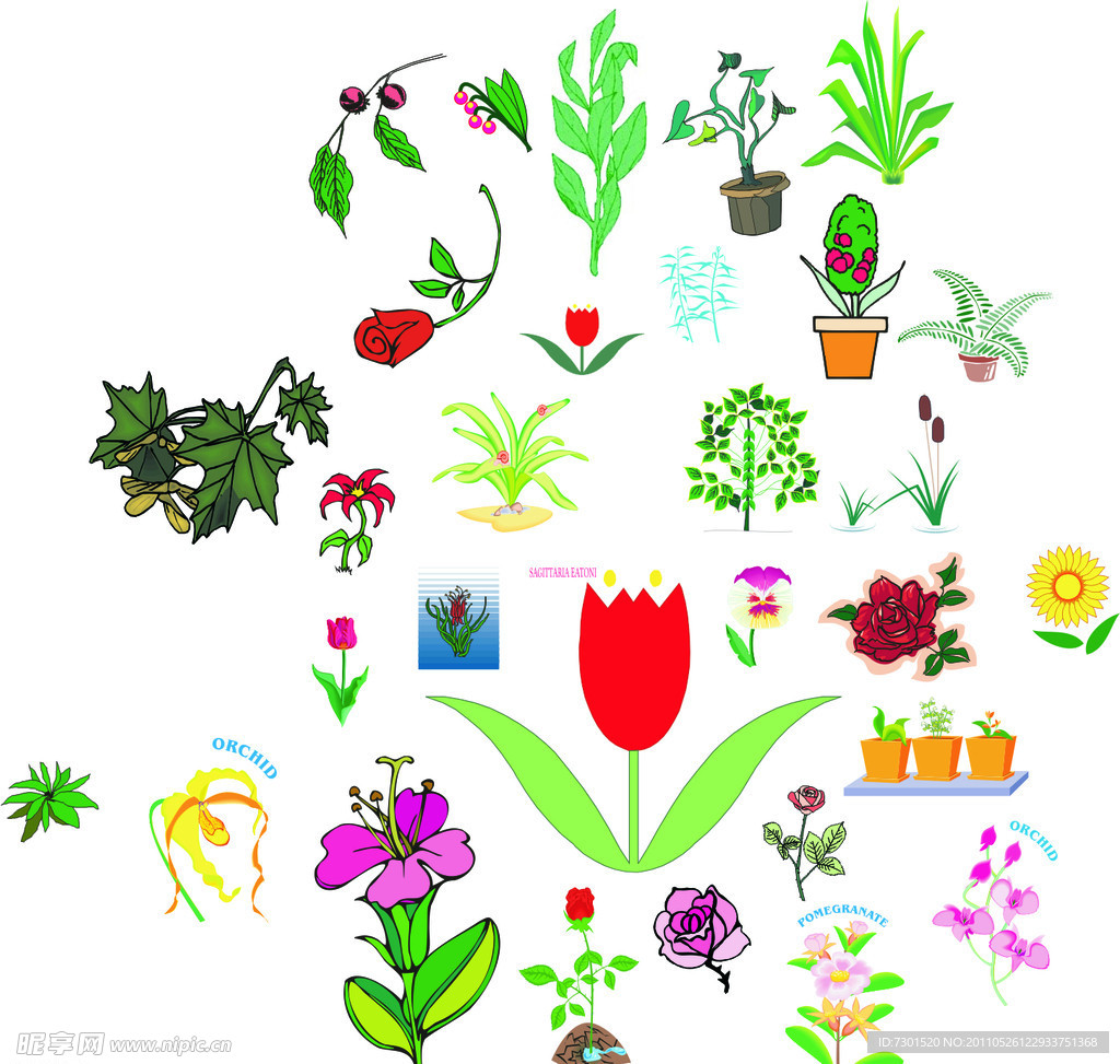 鲜花