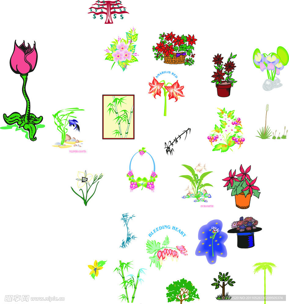 鲜花