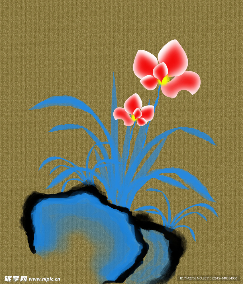 兰花