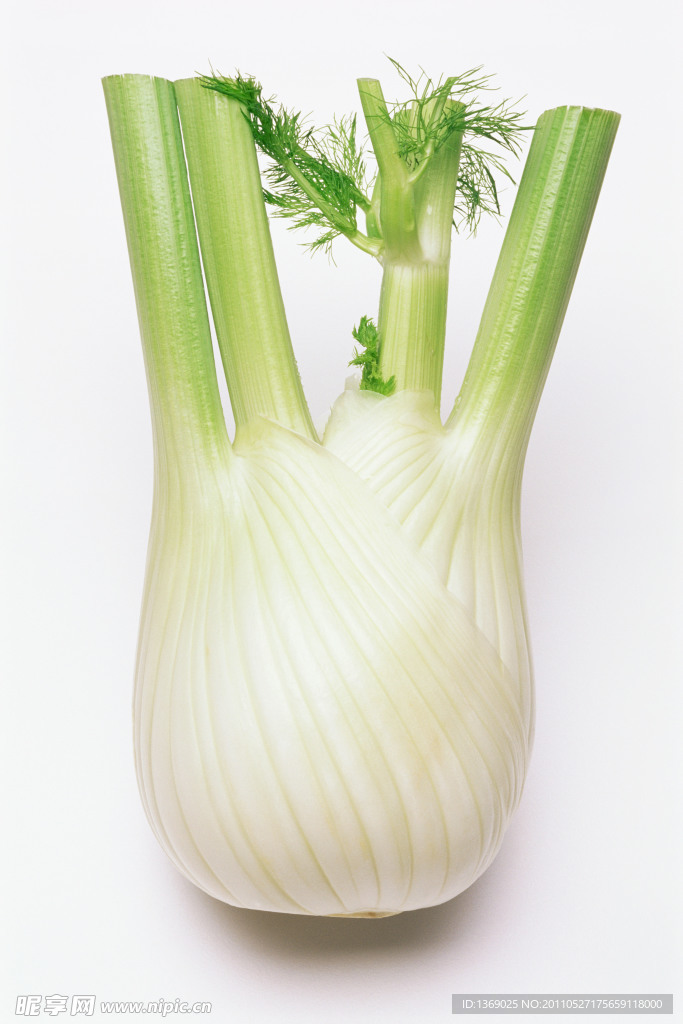 西芹