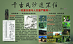新疆托里自然环境