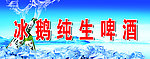 冰鹅纯生啤酒