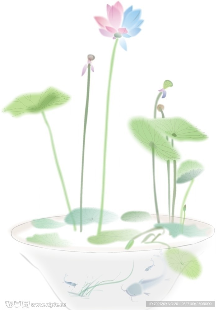 电脑小品写意荷花