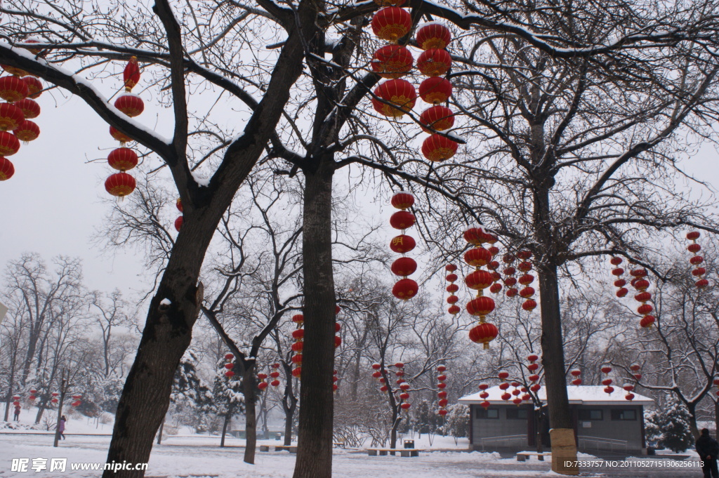 雪中灯笼