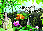 香飘万粽端阳传情
