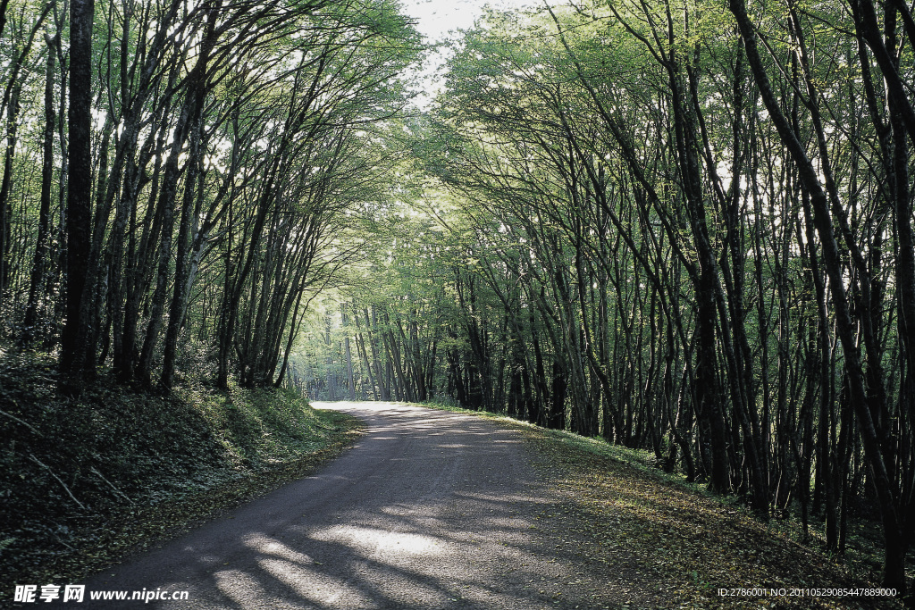 乡村公路图片