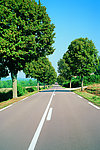 乡村公路图片