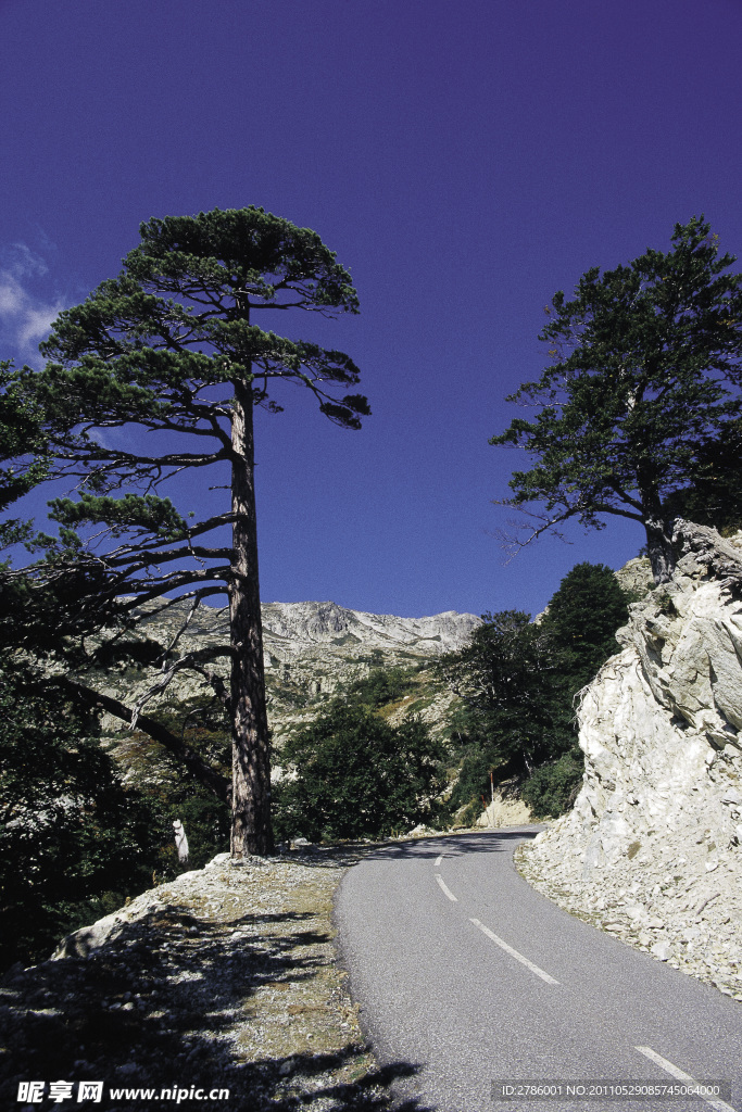 乡村公路图片