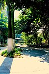 园林绿化