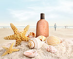 沙滩海洋生物化妆品