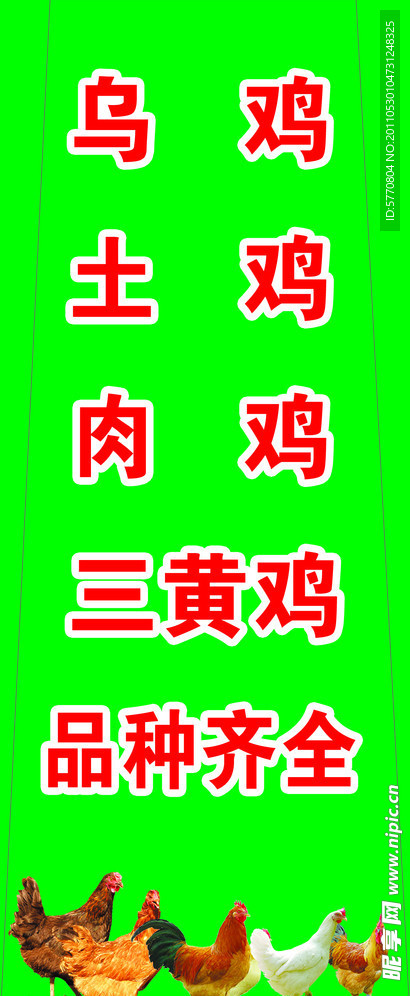 土鸡