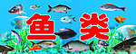 鲜鱼类