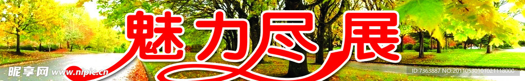 魅力尽展