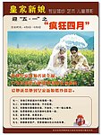 皇家新娘传单