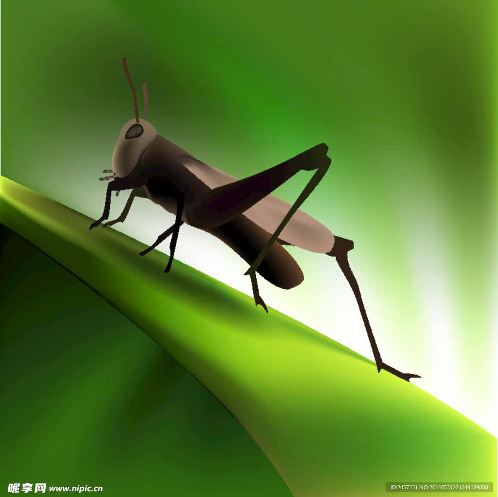 绿色动感线条蚂蚱