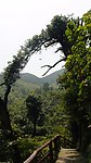 风景