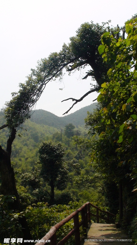 风景