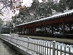 雪景