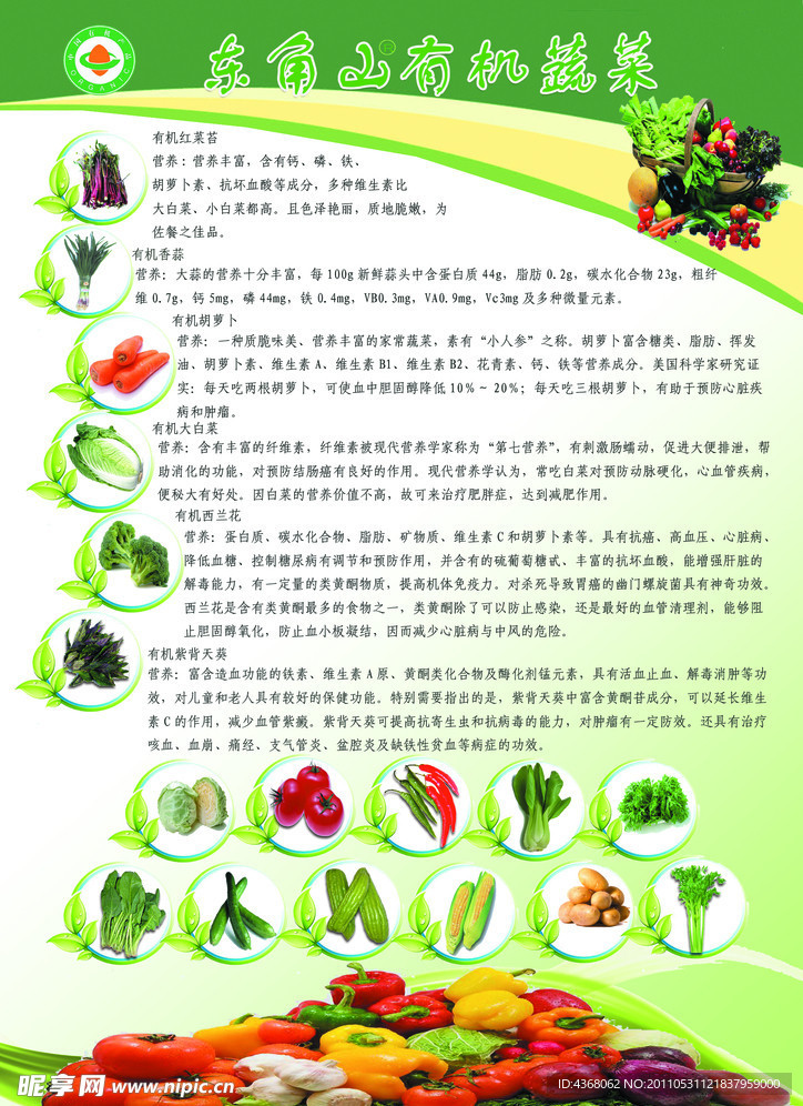 农业蔬菜宣传单