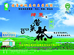 苦菜茶 宣传单页