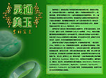 翡翠宣传单正面