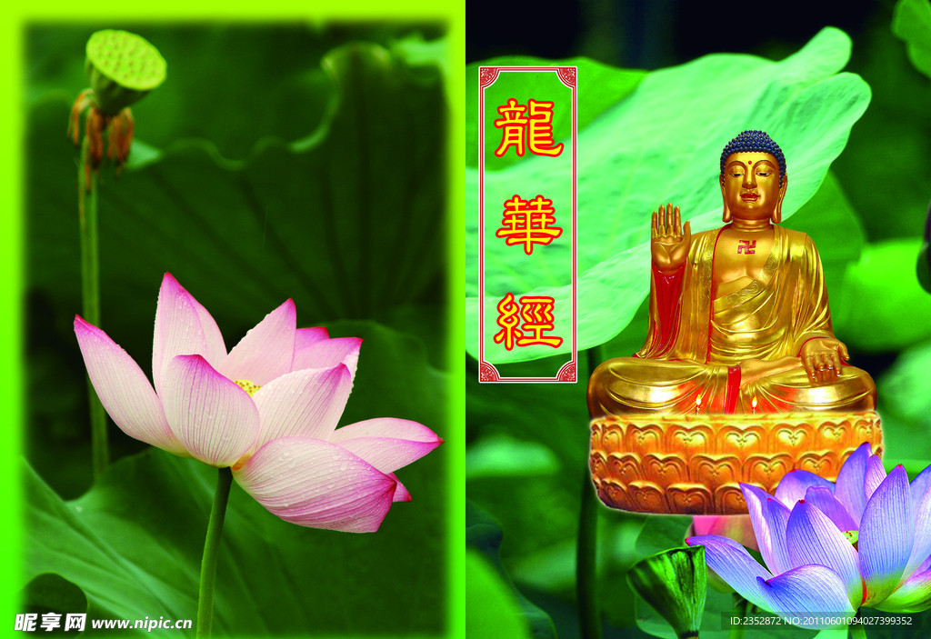 龙华经