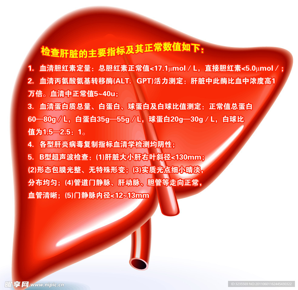 肝脏标牌