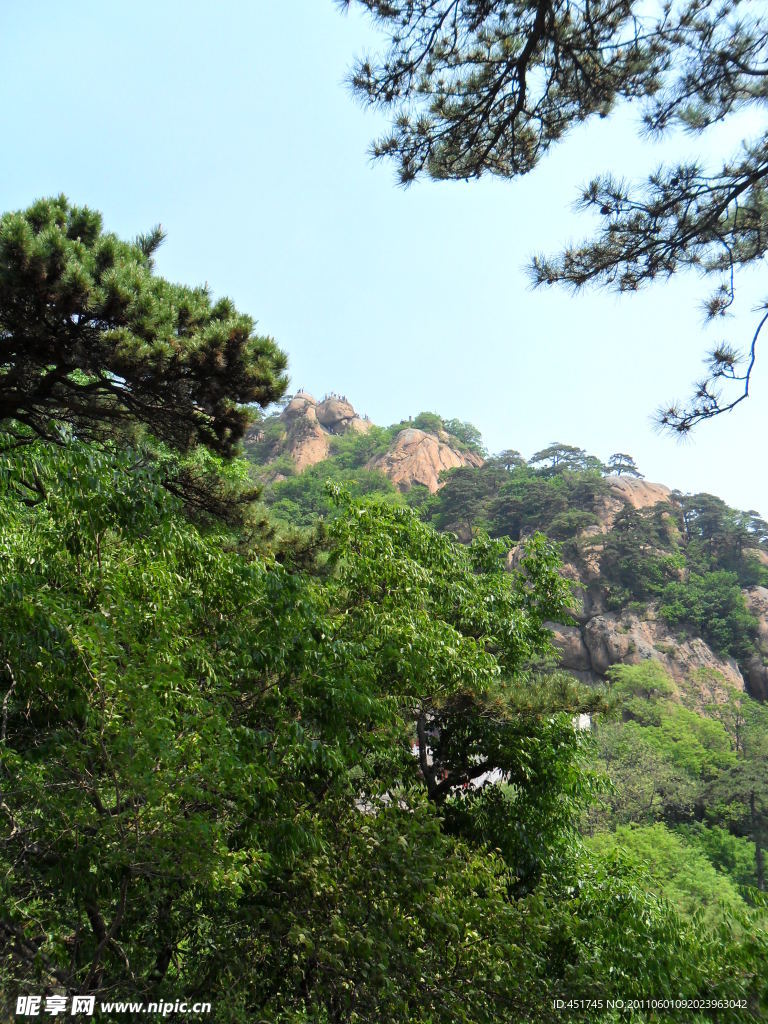风景