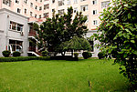 桦川风光