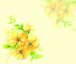 生如夏花