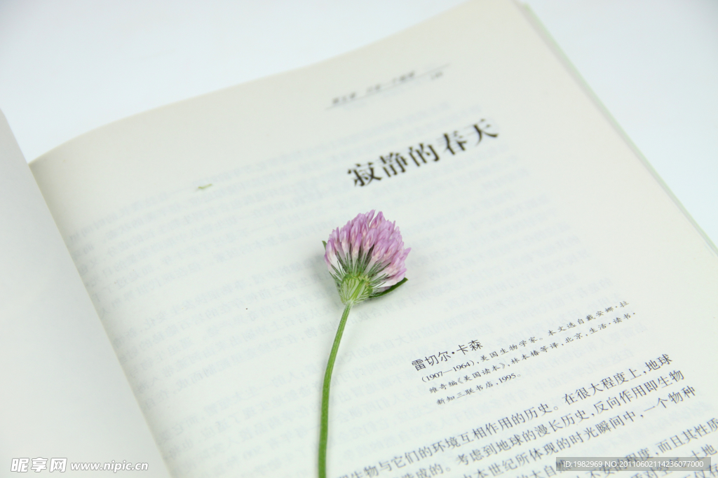 书和花