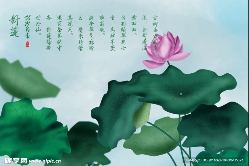 对莲展板