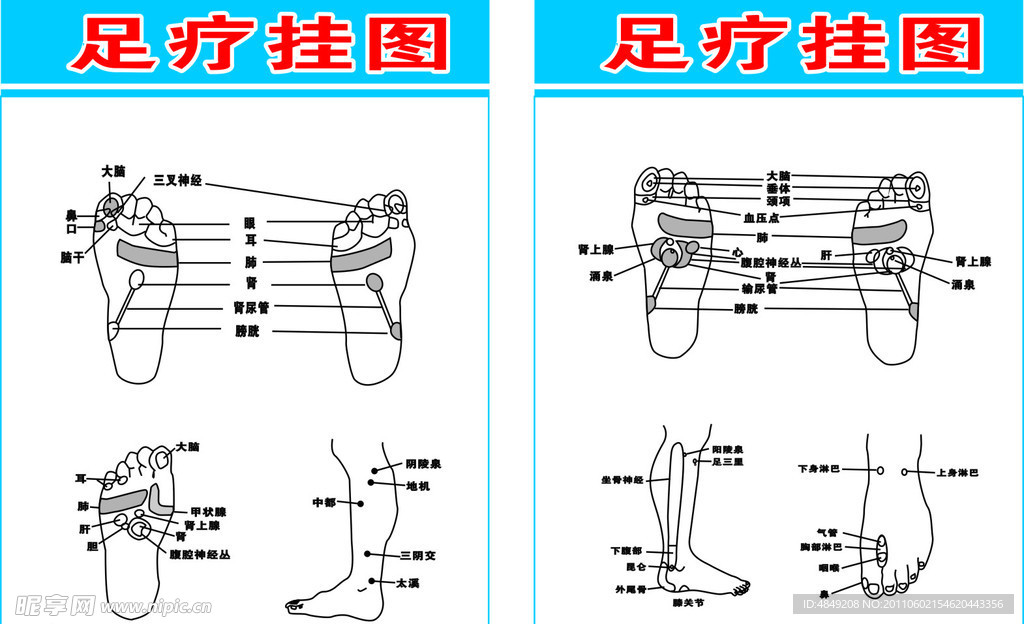 足疗穴位挂图