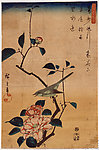 日本浮世绘花鸟