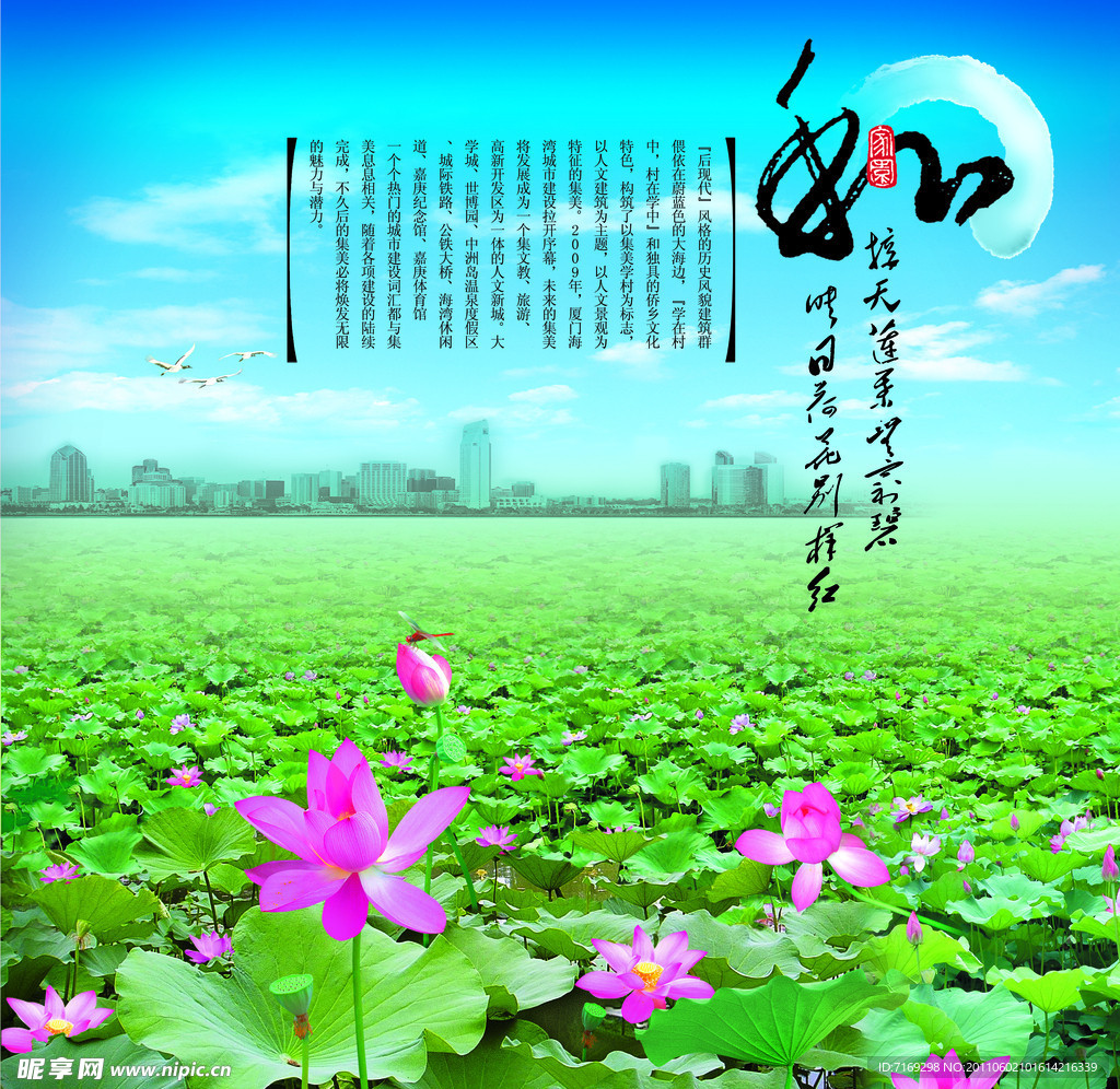荷花淡雅房地产