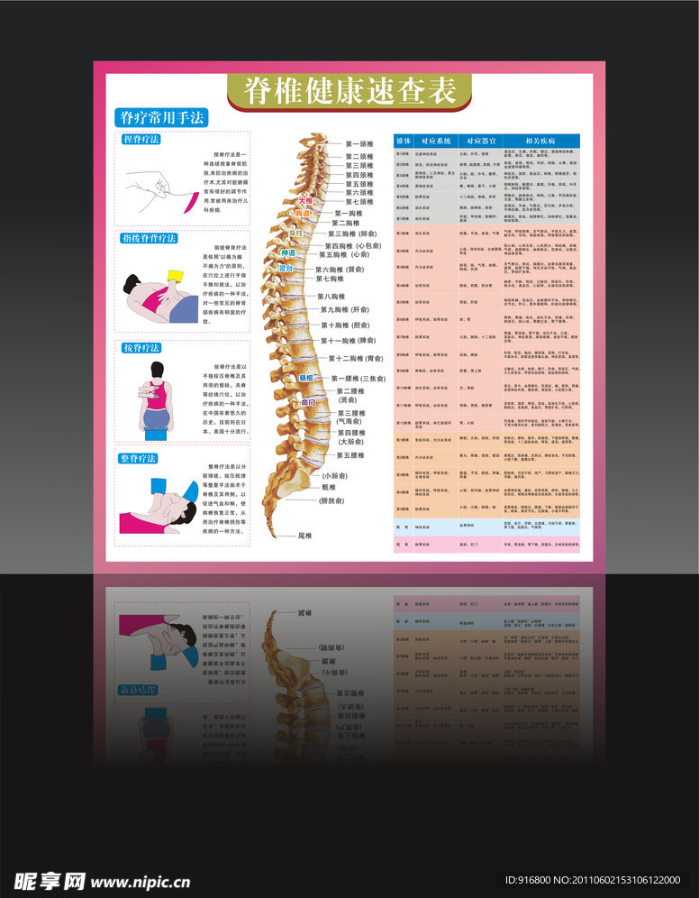 脊椎健康速查表