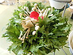 蔬菜组合
