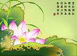 中国画 荷花 荷叶