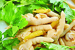 鸡爪