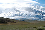 喀什的雪山