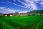 田园风光